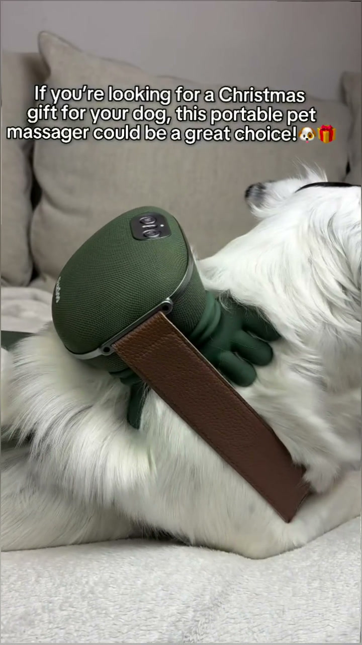 Palmease Massage Bundle